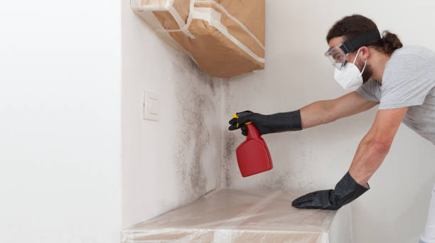Professional Crawl Space Mold Removal technician working in College Park, GA