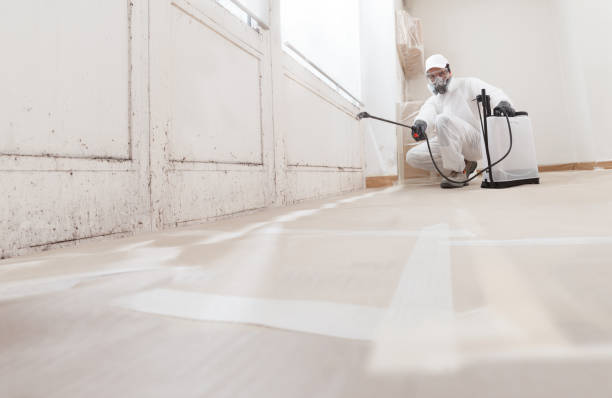 24/7 Emergency Crawl Space Mold Removal experts in College Park, GA