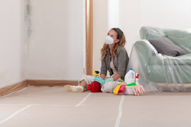Reliable Crawl Space Mold Removal contractor in College Park, GA by WQB Mold Removal